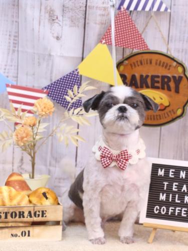 20240906大吉くん